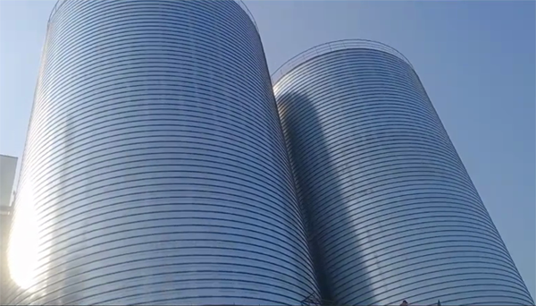 南林乡2座混凝土高架卷板仓